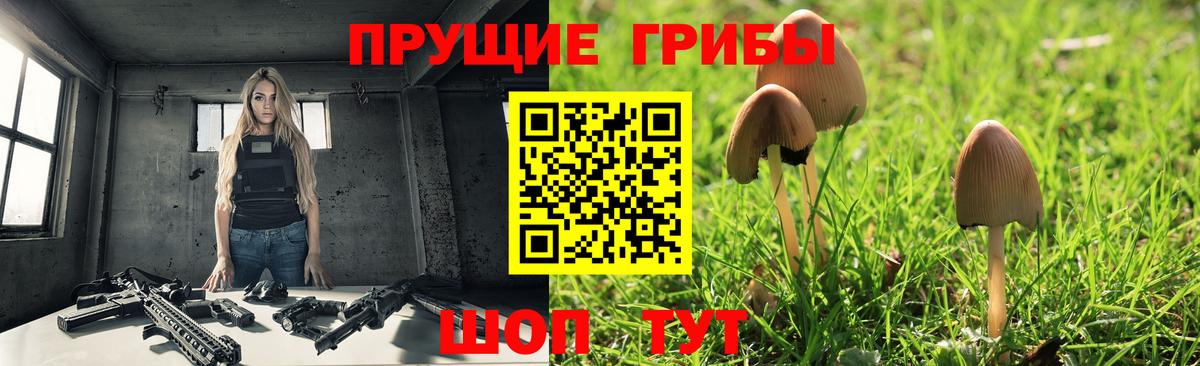 Коркино  Галлюциногенные грибы GOLDEN TEACHER  Вход с VPN  Псилоцибиновые грибы мицелий 